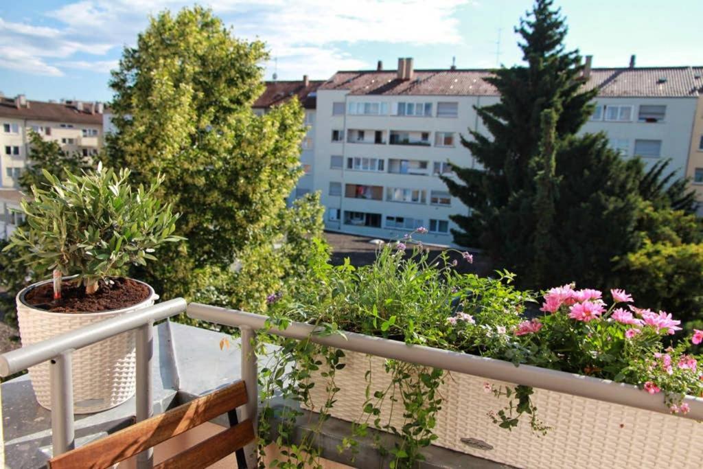 Apartment Ruhige Gemütliche 2z-whg In S-west